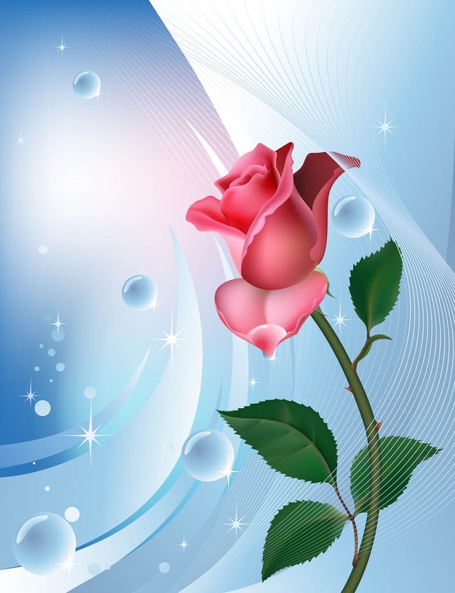FreeVector-Rose-Background-Template.jpg