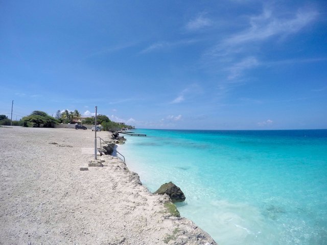 the colors were bright in bonaire.jpg