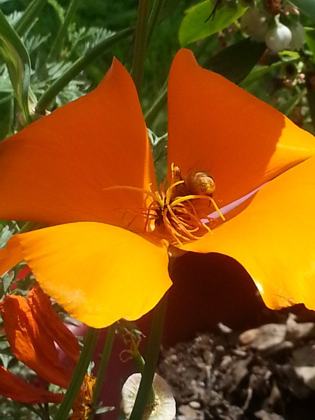 20180519_153605.jpg