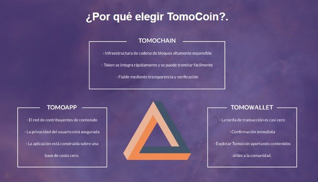 tomocoin 3 sp.jpg