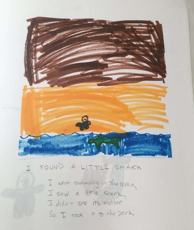 little shark.jpg
