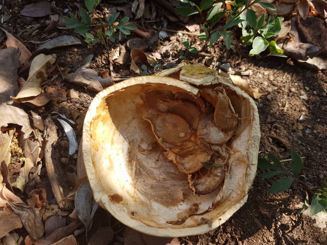 20171031_143823.jpg