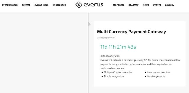 Everus-Multi-Currency-Payment-Gateway.jpg