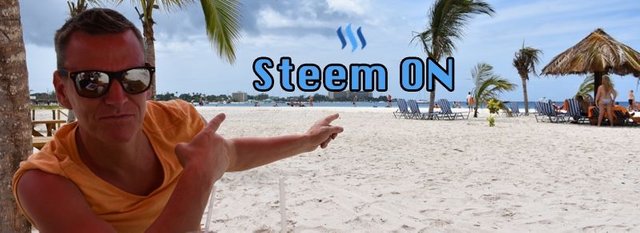 Steem Footer.jpg