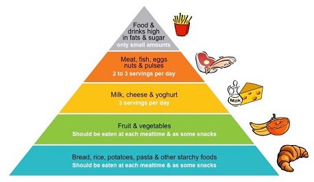 food-pyramid_med.jpeg