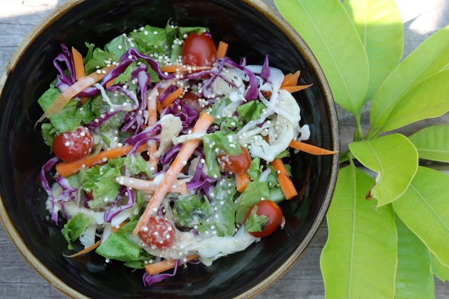 Red-Cabbage-Salad-with-Orange-Peanut-Dressing (2).JPG