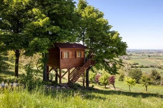 Tree-house-2[1].jpg