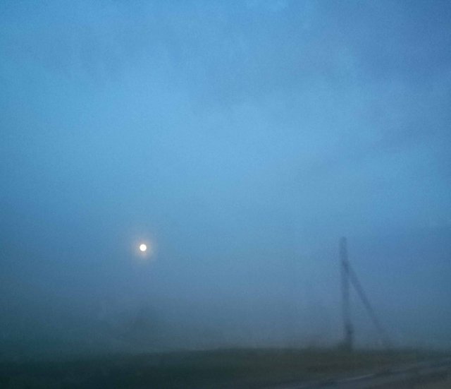 Misty evening Photography in Steemit Blog