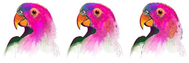 parrot_col03.png