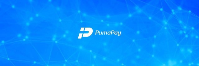 puma-pay-ico.jpeg