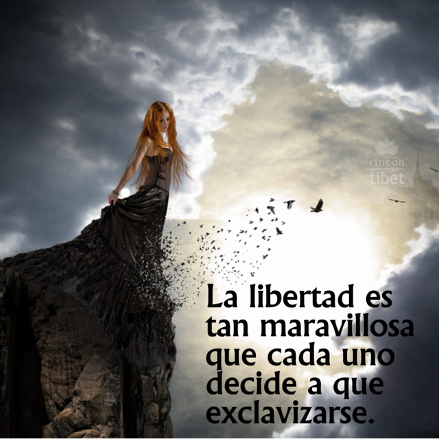 la-libertad-976x976.png