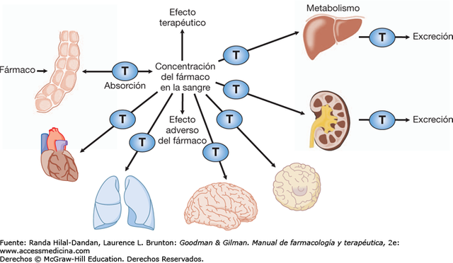 brunton2_ch05_fig-05-01.png