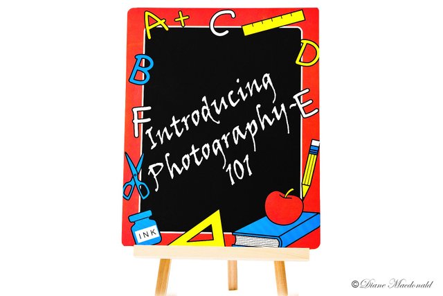 Introducing photography-101.jpg