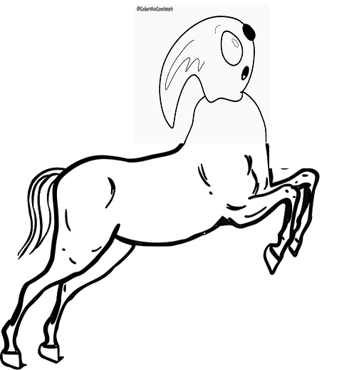 CABALLO 1.png