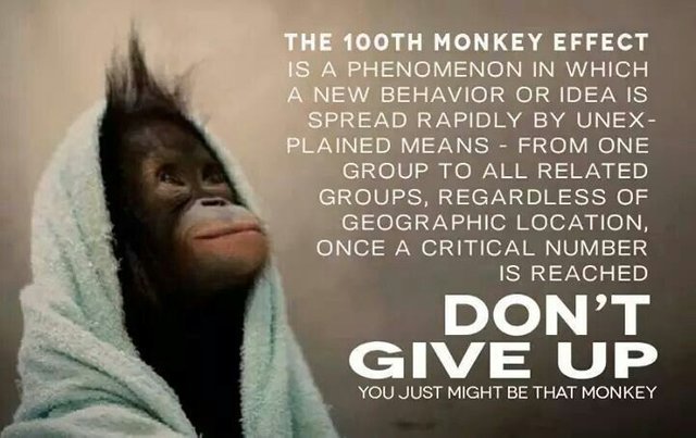 The 100th Monkey Effect In Marketing