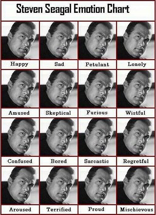 steven_segal_emotion_chart-s513x708-65813.jpg