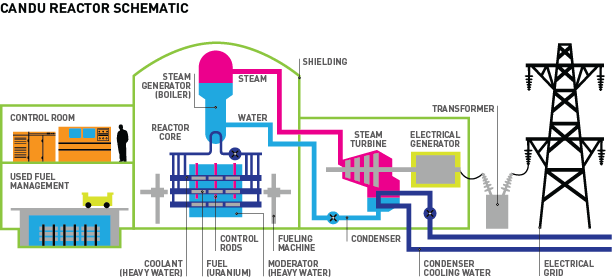 CANDU-reactor-schematic.png