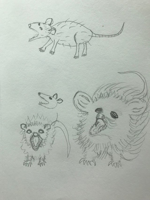 possums pg 2.jpg