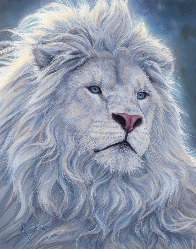 white-lion-lucie-bilodeau.jpg