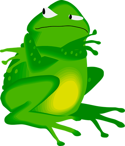 frog-48237__480.png