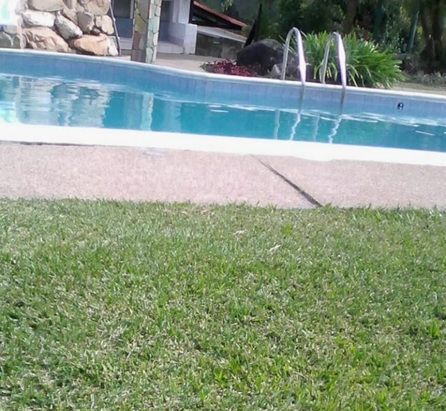 piscina.png