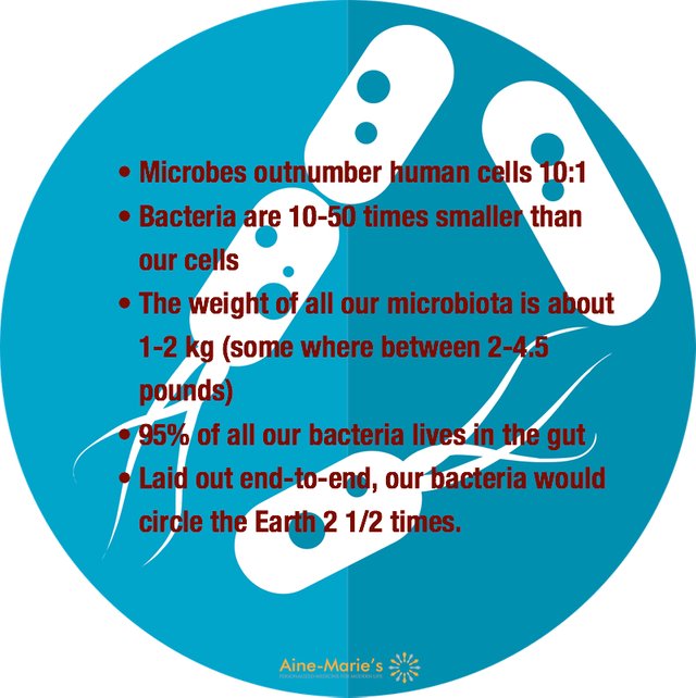 Microbiota-Fact-Circle.jpg