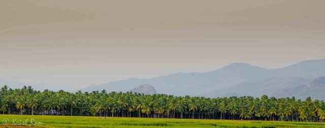 Westernghats.jpg