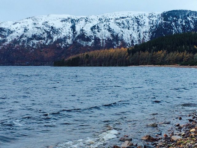SnowyNessie.jpg