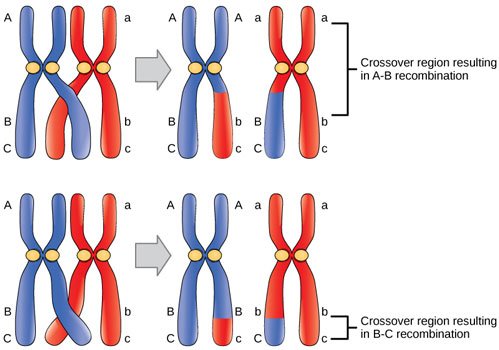 Figure_17_02_01-.jpg