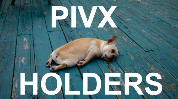 PIV HOLDERS.jpg