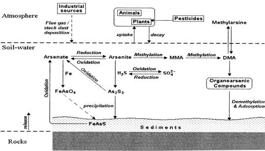 Figure 3.jpg