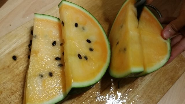 20170706_211631.jpg