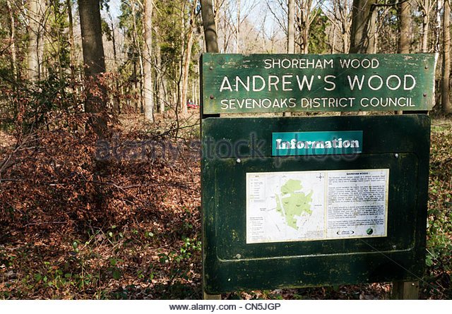 information-sign-for-andrews-wood-an-area-of-amenity-woodland-near-cn5jgp.jpg