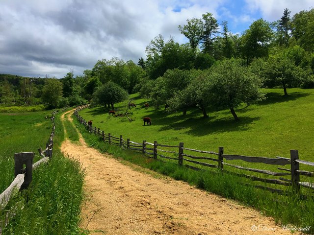 old sturbridge village.jpg