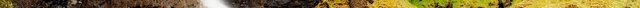 foss_a_sidu_by_somadjinn-dbe4sky 3.jpg