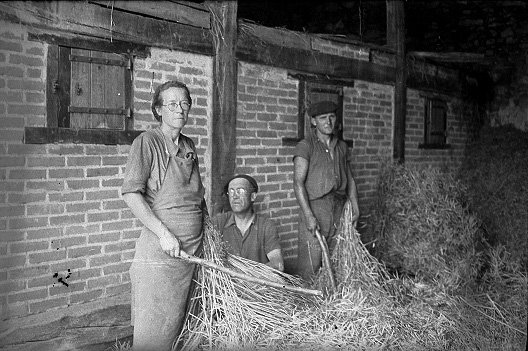 battage du blé 1946_edited.jpg
