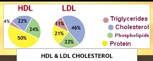 danny.cheung.steemit.globalcash.cholesterol.2.jpg