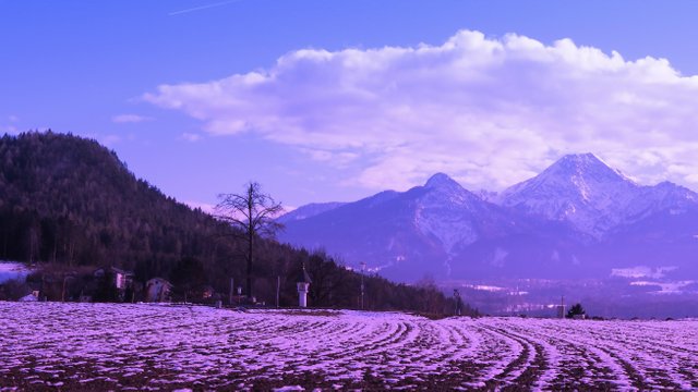 IMG_4533.JPG