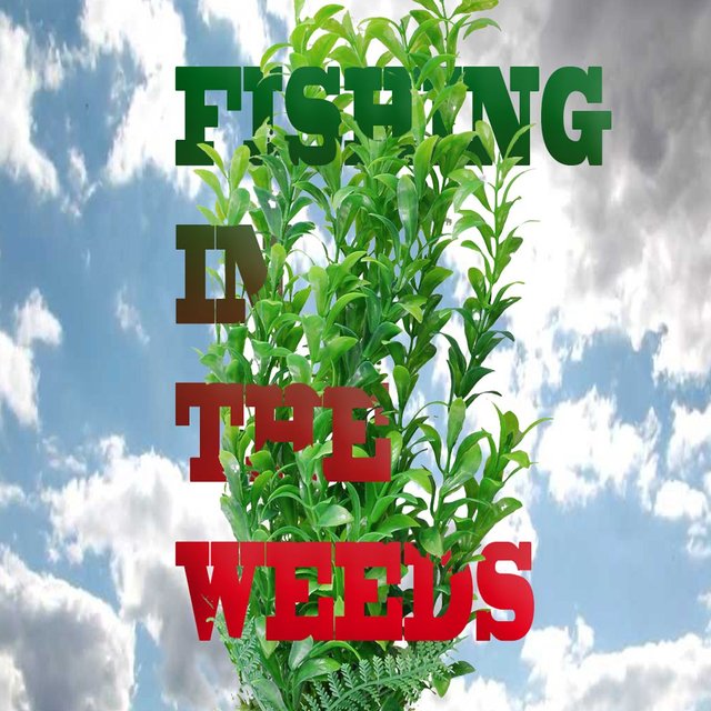 fishing in the weeds.jpg