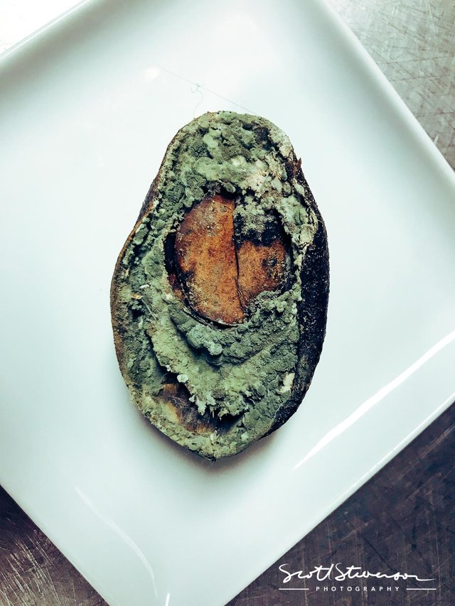 Avocado-2.jpg