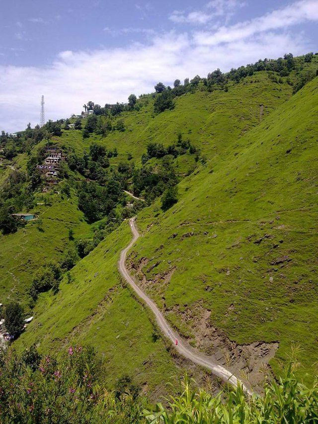 During my recent tour to my village namli maira I clicked these photos ...