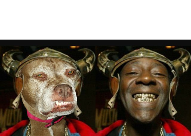 Prada Prad & Flava Flav.jpg