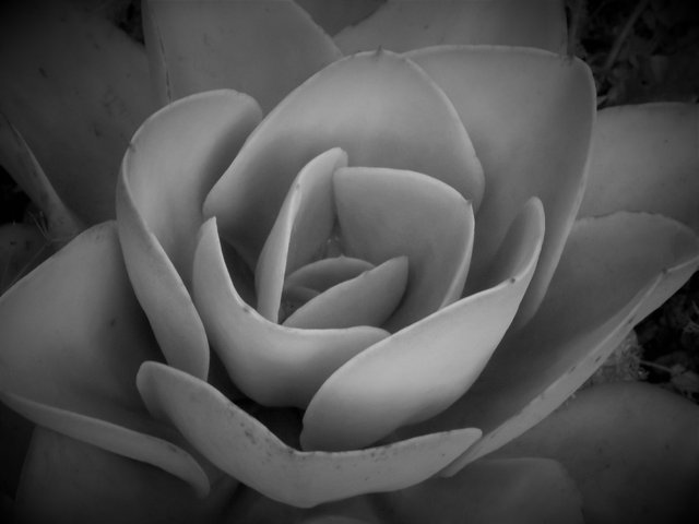 DSCF1227.jpg