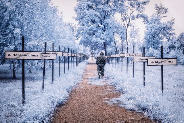 chernobyl-hpotographs-infrared-vladimir-migutin-4-5a74730b9240d__880.jpg