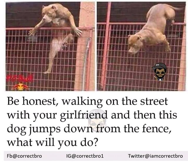FB_IMG_15240851812008812.jpg