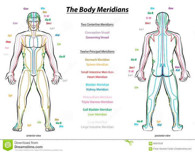 meridian-system-description-chart-male-body-principal-centerline-acupuncture-meridians-anterior-posterior-view-66910530.jpg
