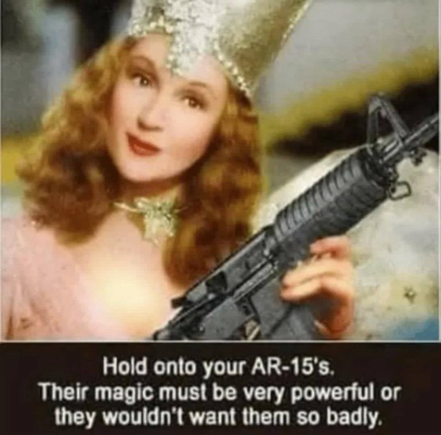 ar 15.jpg