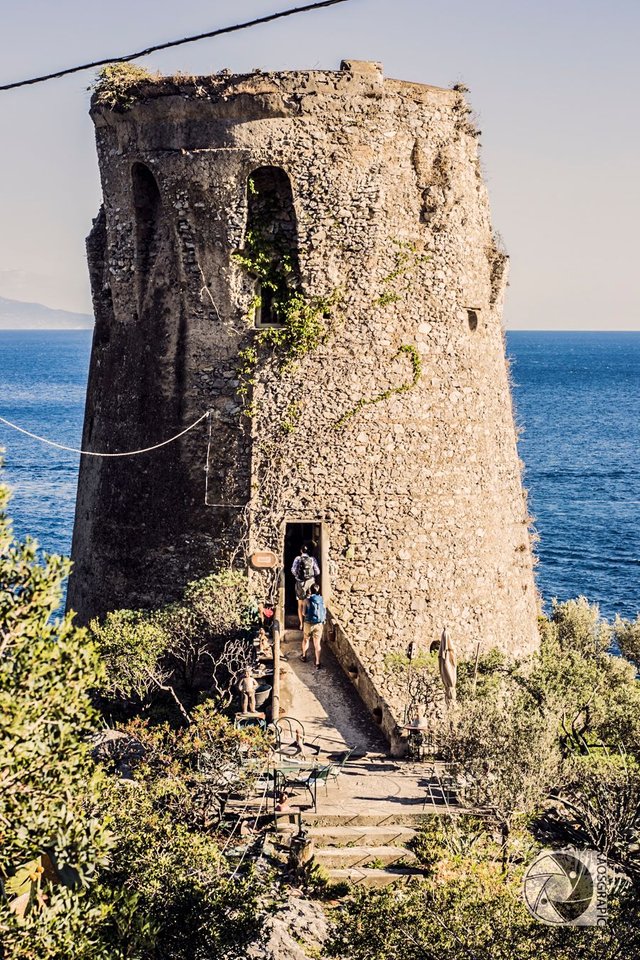 the tower artist.jpg