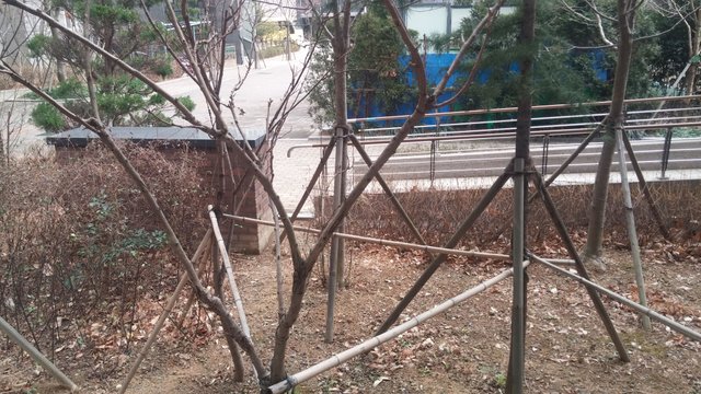 20180110_095107.jpg