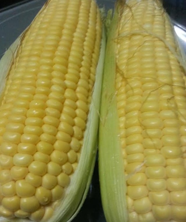 corn.jpg